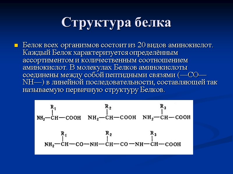 Структура белка Белок всех организмов состоит из 20 видов аминокислот. Каждый Белок характеризуется определённым